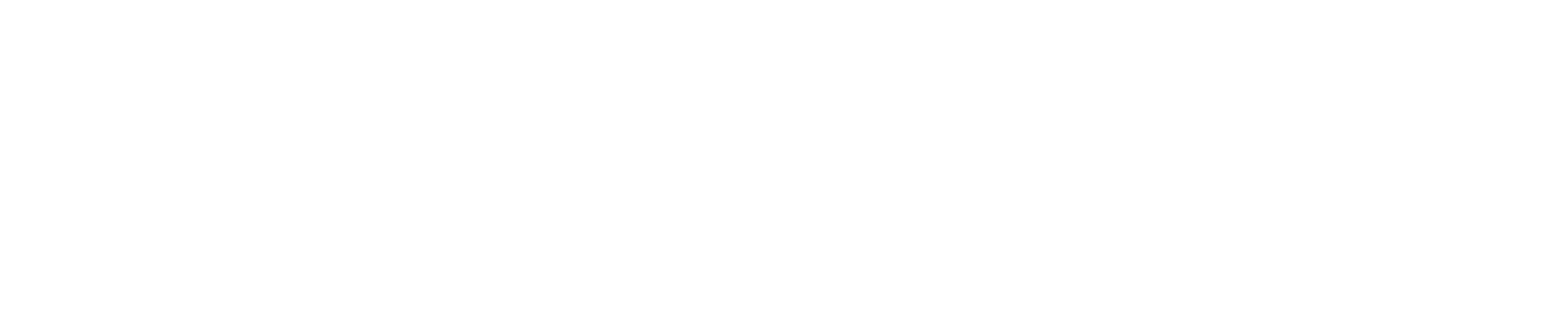 Bella FSM Logo